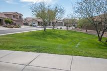 Firethorn Whisper Neighborhood Park